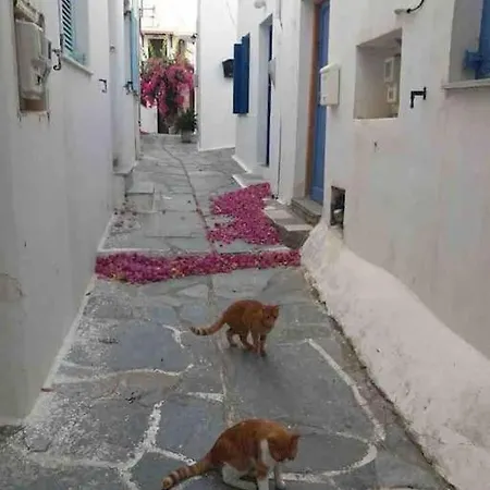 Granny's House *